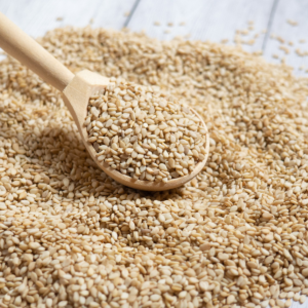 Natural white Sesame Seeds